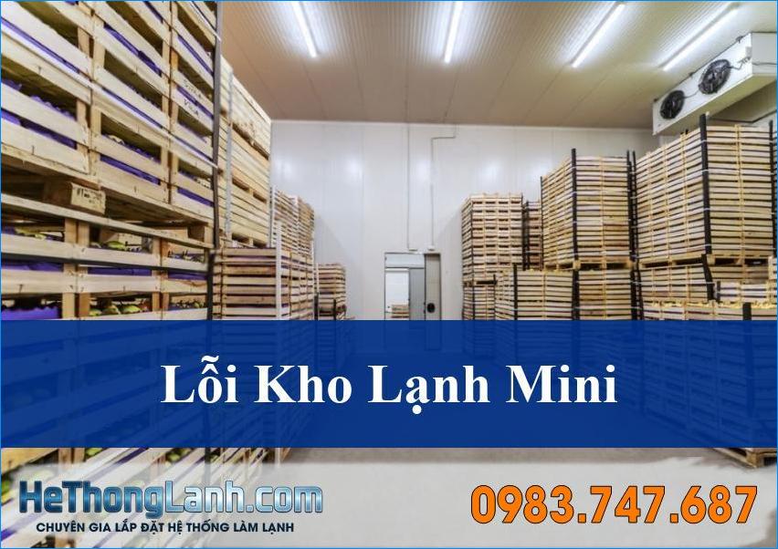 Khám Phá Các Lỗi Thường Gặp Ở Kho Lạnh Mini Và Giải Pháp Tối Ưu Từ Chuyên Gia HeThongLanh